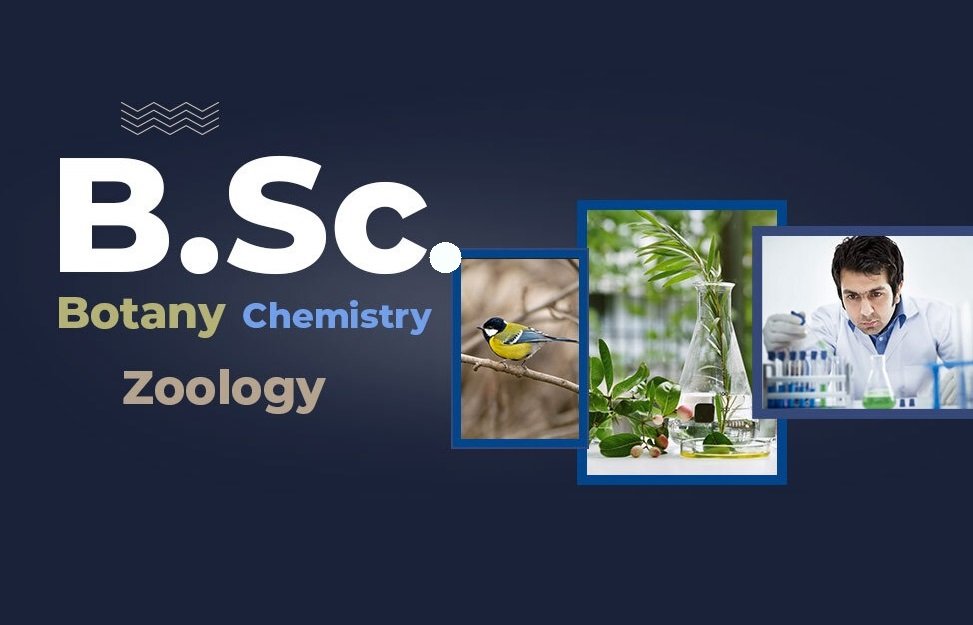 bscs